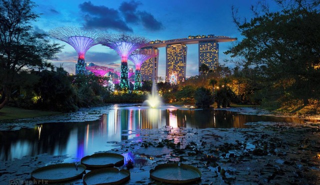 Stunning 1-Bedroom Apartment at Orchard Singapore