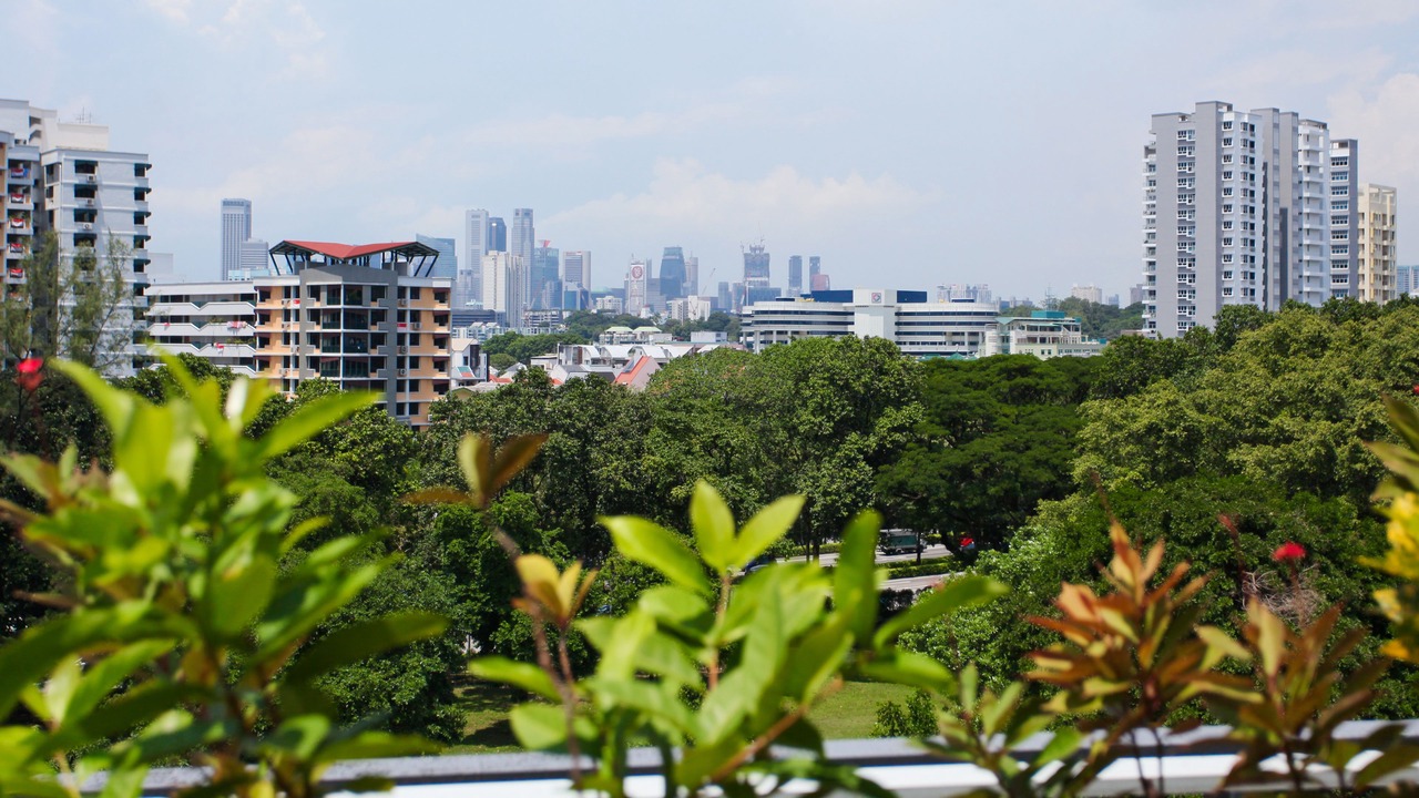 Photo of Others in Balestier