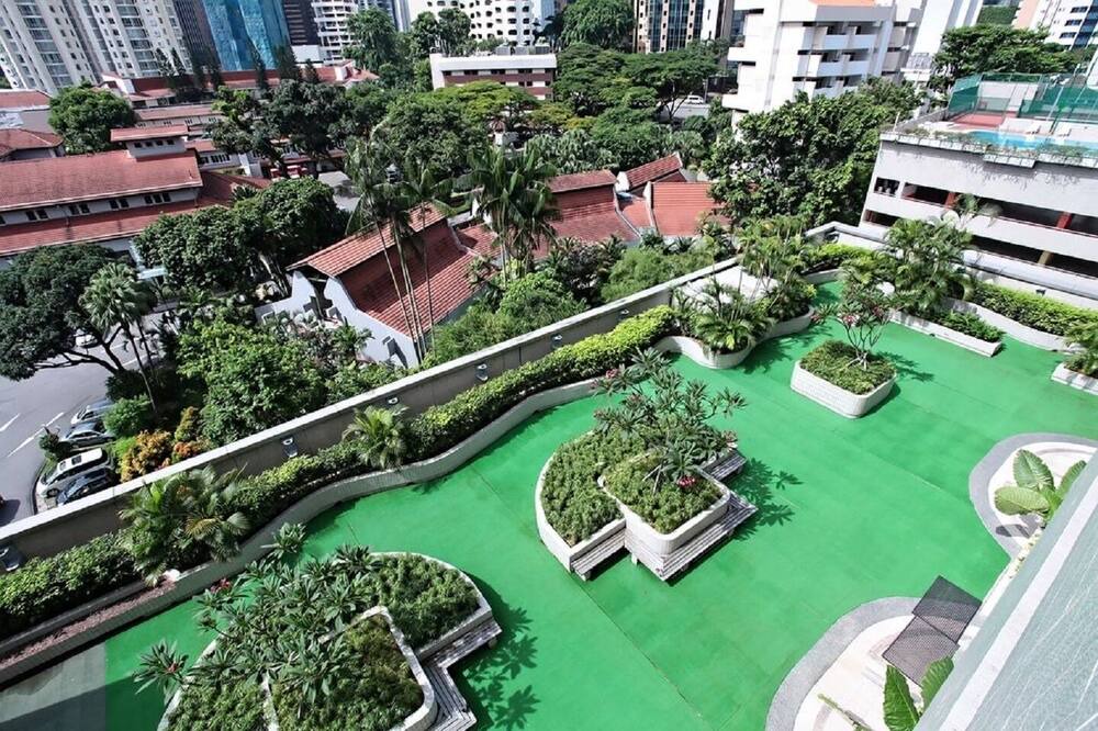 Photo of Outdoor in Orchard