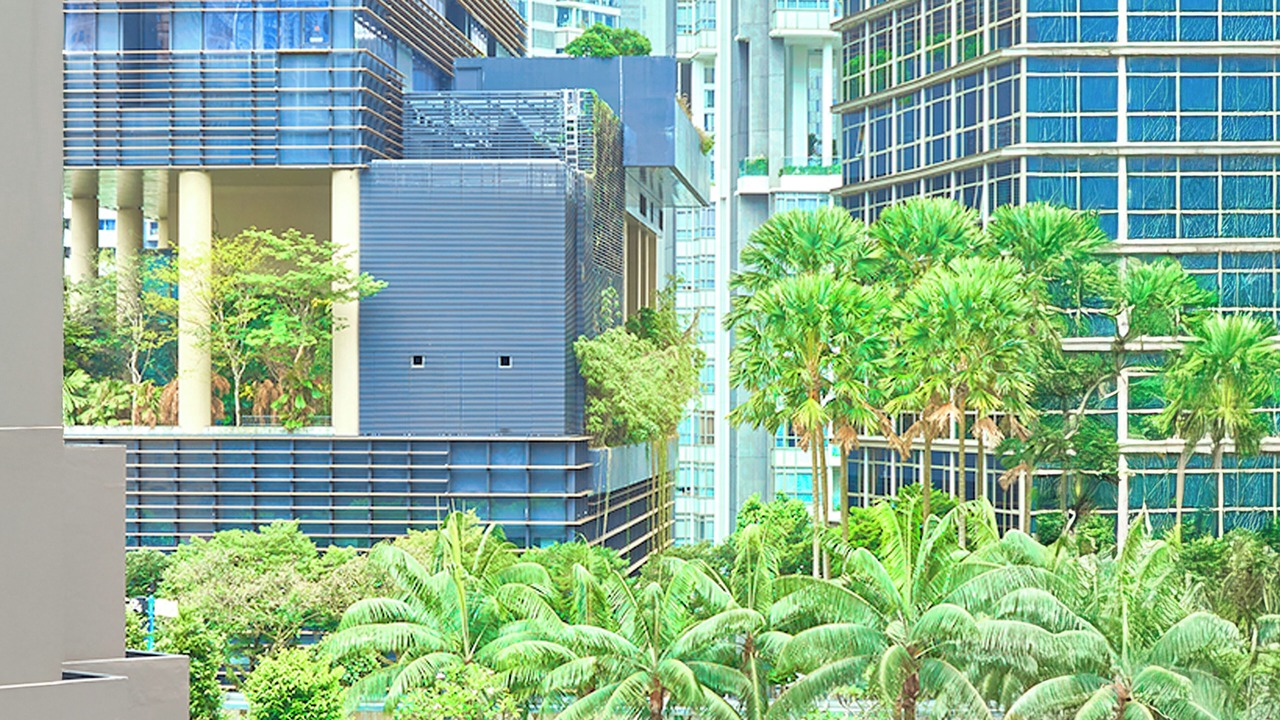 Photo of Others in Orchard