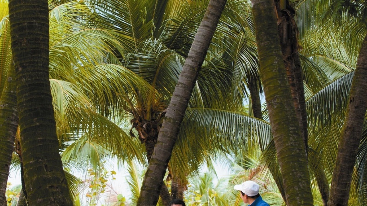 Photo of Outdoor in Sentosa Island