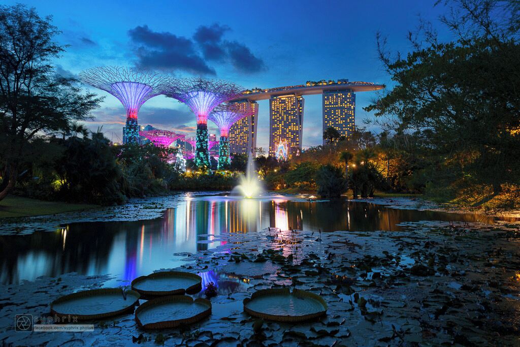 Photo of Others in Downtown Singapore
