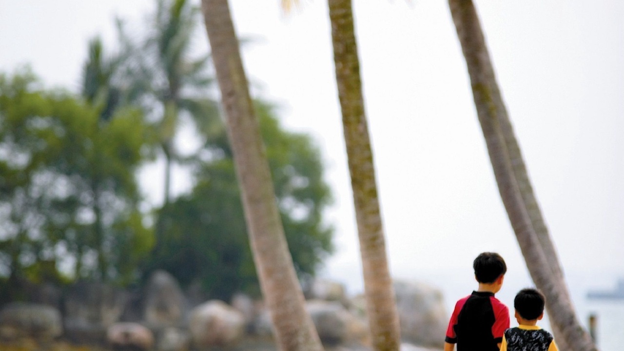 Photo of Others in Sentosa Island