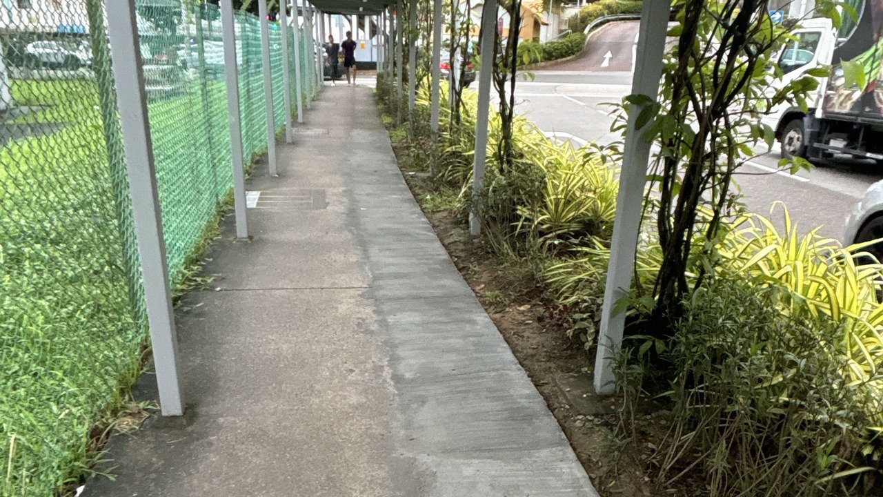 Photo of Outdoor in Chinatown