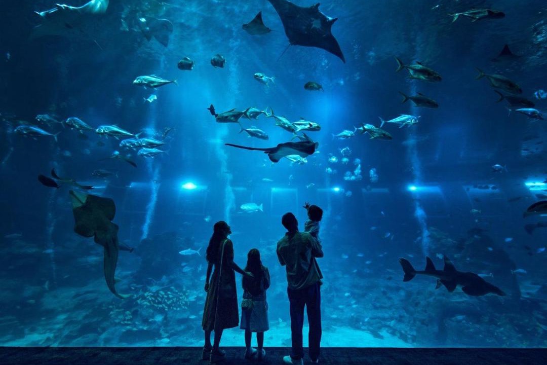 Photo of Others in Resorts World Sentosa