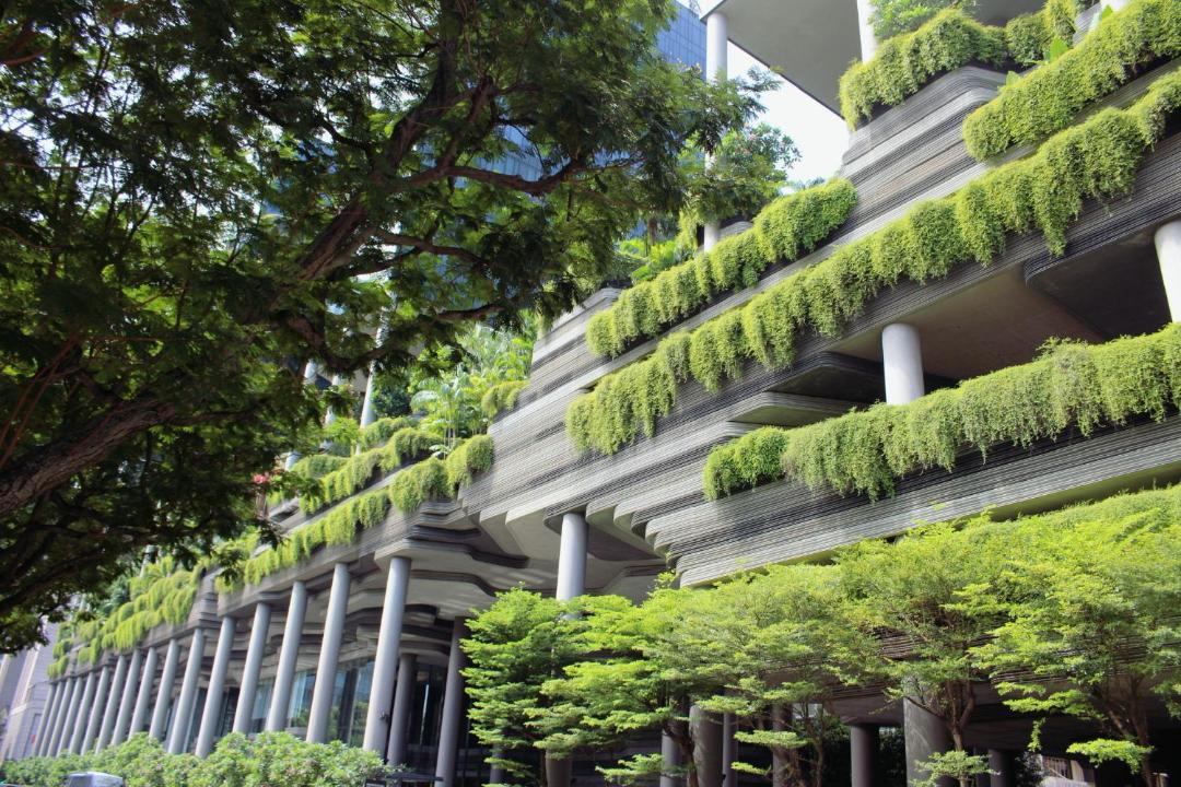 Photo of Others in Downtown Singapore