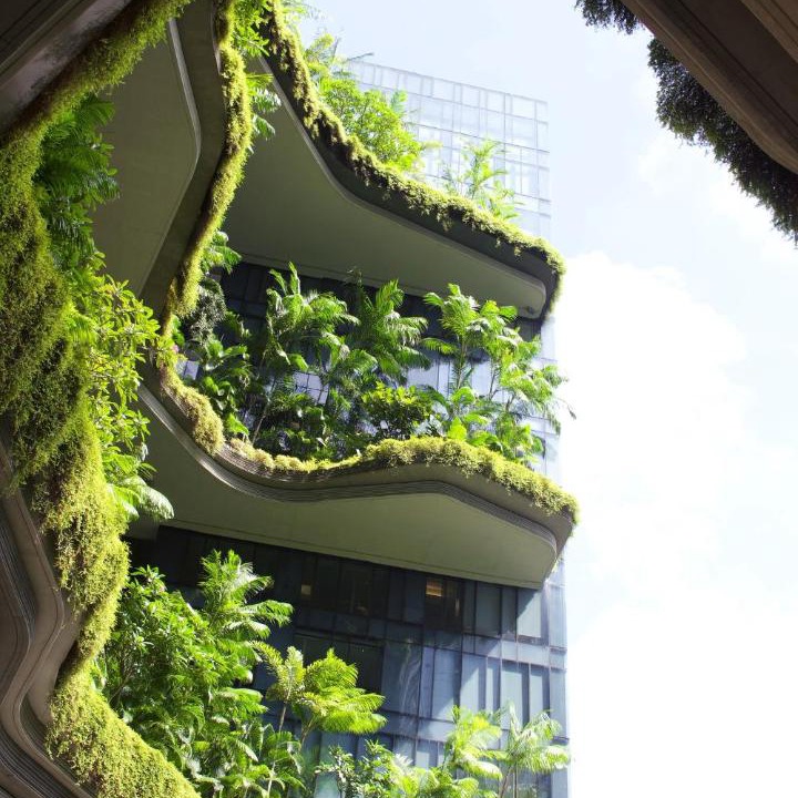 Photo of Others in Downtown Singapore