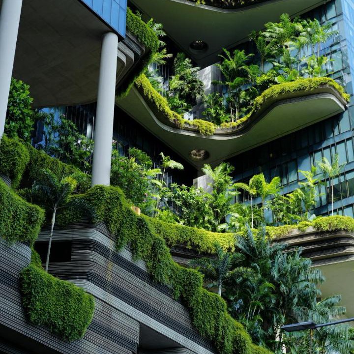 Photo of Others in Downtown Singapore