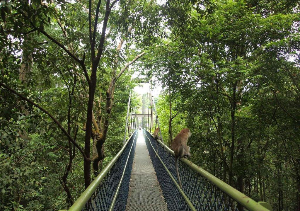 Photo of Others in Thomson Road