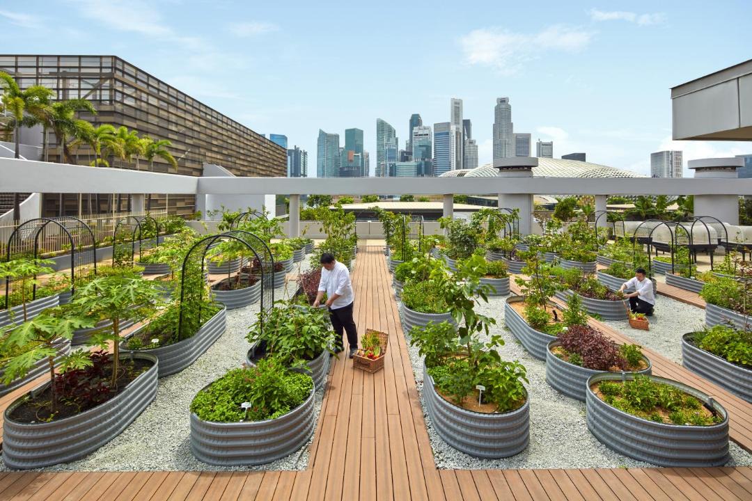 Photo of Others in Central Business District