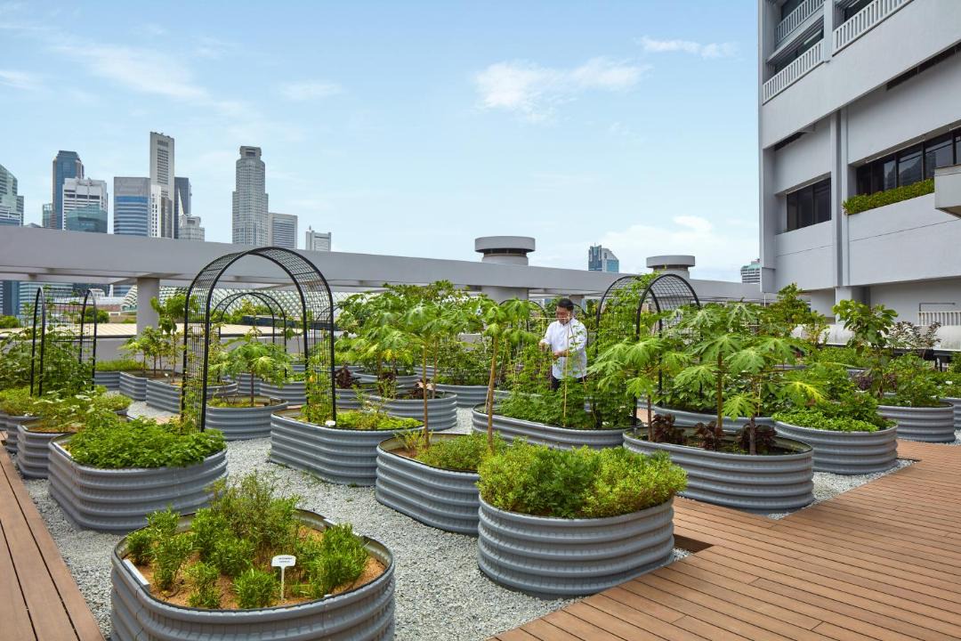 Photo of Others in Central Business District