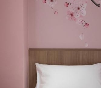 Standard Double Room (No window)