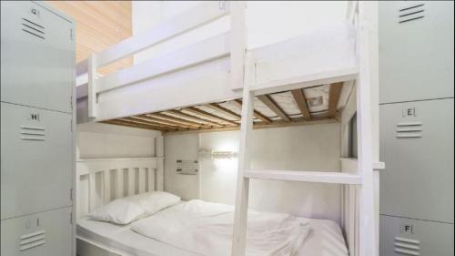 Bunk Bed in Mixed Dormitory Room