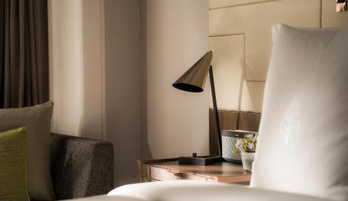 Deluxe Hypoallergenic King Room