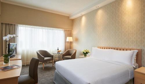 Superior Queen Room