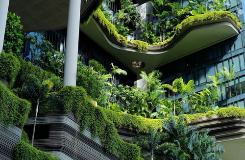 Downtown Singapore Hotel | PARKROYAL COLLECTION Pickering, Singapore