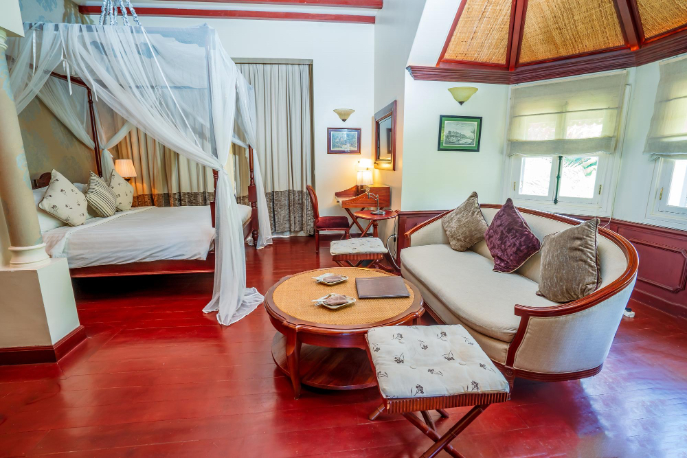 Lavender Hotel | Asphodel Inn - Newly Renovated