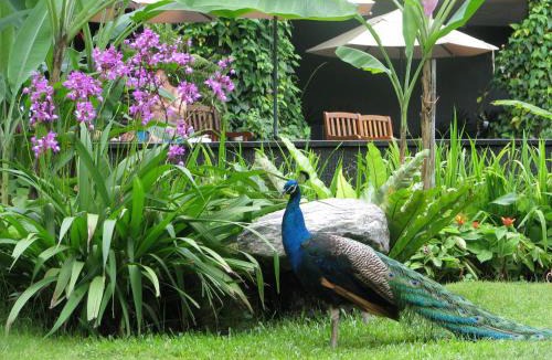Sentosa Island Resort | Siloso Beach Resort - Sentosa